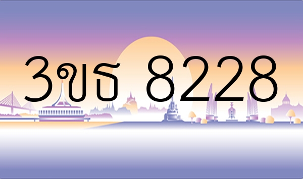 3ขธ 8228